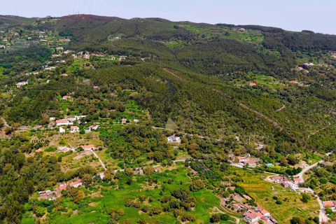 Farm hus i Monchique, Faro, Monchique - € 350.000 | Ref: JE040 MO - foto 31