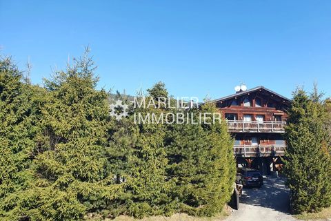 Lejlighed i Megève, Haute-Savoie, Megève - € 175.000 | Ref: 1033 - foto 12
