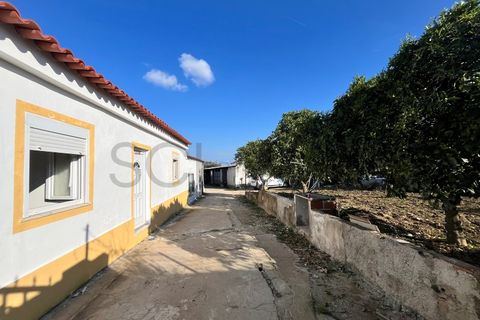 Bungalou a Portel, Evora, Portel - € 189.000 | Ref: 10780 - foto 4