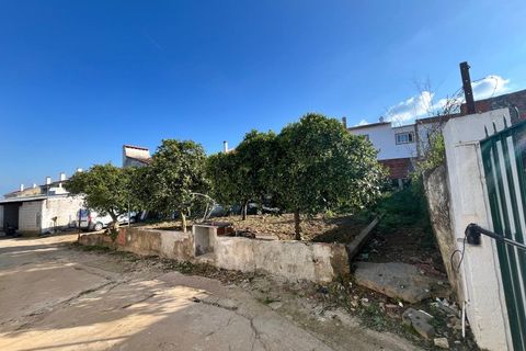 Bungalou a Portel, Evora, Portel - € 189.000 | Ref: 10780 - foto 12