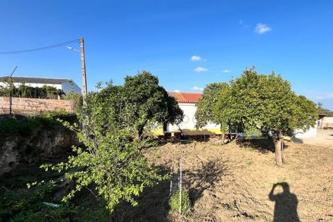 Bungalou a Portel, Evora, Portel - € 189.000 | Ref: 10780 - foto 13