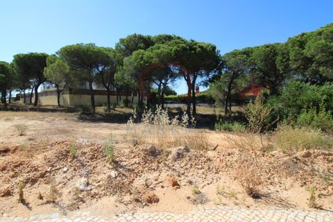 Helårsgrund i Almancil, Faro, Almancil - € 1.975.000 | Ref: TER_716 - foto 2