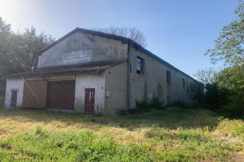 Cave house i Antugnac, Aude, Antugnac - € 91.000 | Ref: 9362 - foto 3