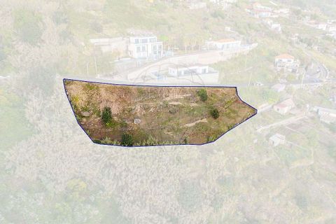 Helårsgrund i Calheta, Madeira, Calheta - € 500.000 | Ref: 123511219-1 - foto 7