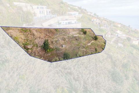 Helårsgrund i Calheta, Madeira, Calheta - € 500.000 | Ref: 123511219-1 - foto 8