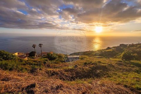 Helårsgrund i Calheta, Madeira, Calheta - € 500.000 | Ref: 123511219-1 - foto 13