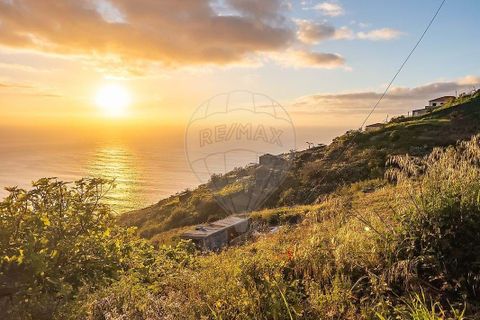 Helårsgrund i Calheta, Madeira, Calheta - € 500.000 | Ref: 123511219-1 - foto 18