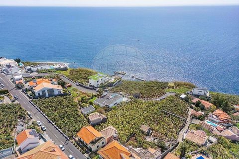 Villa i Ponta do Sol, Madeira, Ponta do Sol - € 650.000 | Ref: 123511098-153 - foto 3