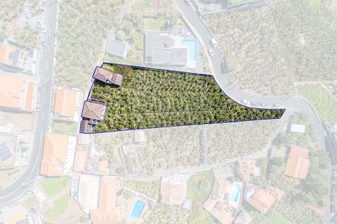 Villa i Ponta do Sol, Madeira, Ponta do Sol - € 650.000 | Ref: 123511098-153 - foto 18