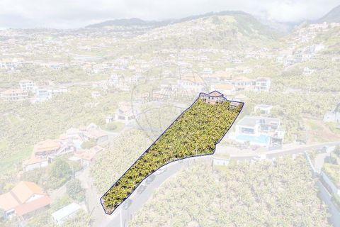 Villa i Ponta do Sol, Madeira, Ponta do Sol - € 650.000 | Ref: 123511098-153 - foto 19