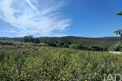 Helårsgrund i Leiria, Leiria, Leiria - € 46.000 | Ref: 881994 - foto 8