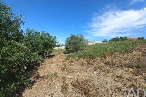 Helårsgrund i Leiria, Leiria, Leiria - € 46.000 | Ref: 881994 - foto 10