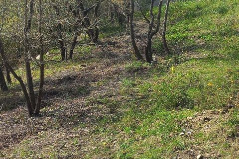Helårsgrund i Leiria, Leiria, Leiria - € 46.000 | Ref: 881994 - foto 11