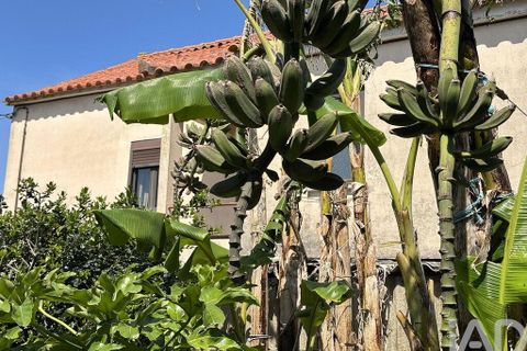 Byhus i Esposende, Braga, Esposende - € 375.000 | Ref: 870452 - foto 3