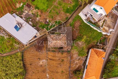 Villa i Ponta do Sol, Madeira, Ponta do Sol - € 70.000 | Ref: HAB_14 - foto 6