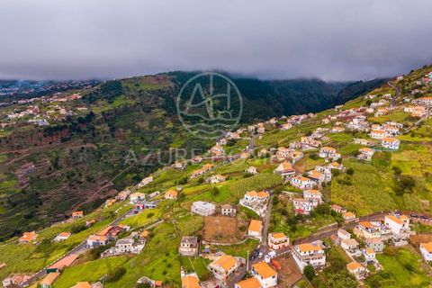 Villa i Ponta do Sol, Madeira, Ponta do Sol - € 70.000 | Ref: HAB_14 - foto 7