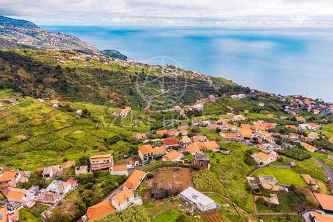 Villa i Ponta do Sol, Madeira, Ponta do Sol - € 70.000 | Ref: HAB_14 - foto 9