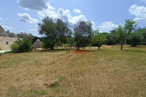 Landejendom i Ostuni, Brindisi, Ostuni - € 645.000 | Ref: 227 - foto 27