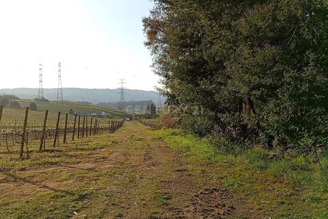 Helårsgrund i Valongo, Porto, Valongo - € 52.000 | Ref: C0457-00842 - foto 1