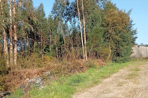 Helårsgrund i Valongo, Porto, Valongo - € 52.000 | Ref: C0457-00842 - foto 3