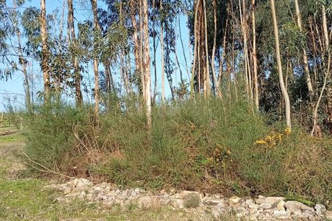 Helårsgrund i Valongo, Porto, Valongo - € 52.000 | Ref: C0457-00842 - foto 4