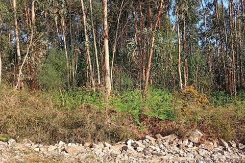 Helårsgrund i Valongo, Porto, Valongo - € 52.000 | Ref: C0457-00842 - foto 5