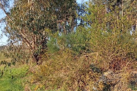 Helårsgrund i Valongo, Porto, Valongo - € 52.000 | Ref: C0457-00842 - foto 6