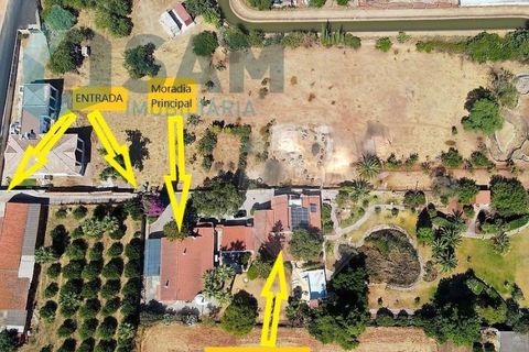 Duplex i Silves, Faro, Silves - € 795.000 | Ref: AS/EP002-26 - foto 4