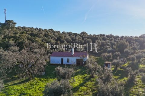 Farm i Estremoz, Evora, Estremoz - € 320.000 | Ref: JF1130 - foto 7