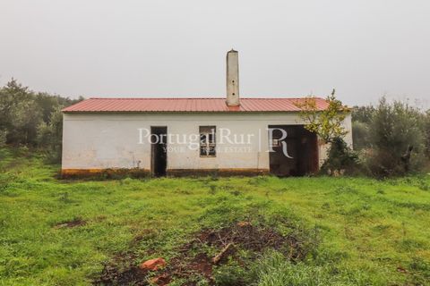 Farm i Estremoz, Evora, Estremoz - € 320.000 | Ref: JF1130 - foto 8