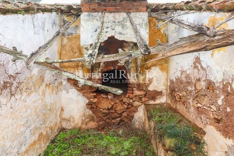 Farm i Estremoz, Evora, Estremoz - € 320.000 | Ref: JF1130 - foto 15