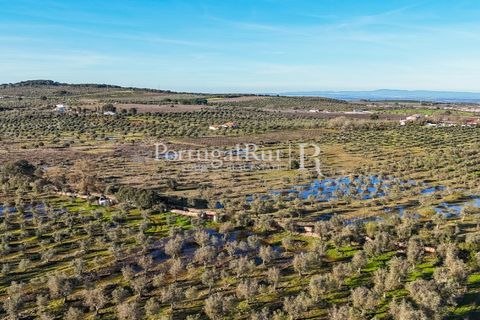 Farm i Estremoz, Evora, Estremoz - € 320.000 | Ref: JF1130 - foto 16