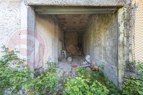 Villa i Posta Fibreno, Frosinone, Posta Fibreno - € 74.000 | Ref: AC99-149-1743 - foto 37
