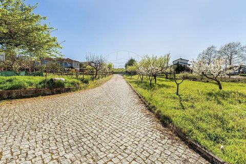 Farm i Chaves, Vila Real, Chaves - € 350.000 | Ref: PE-123751655-6 - foto 4