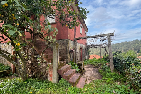 Helårsgrund i Arouca, Aveiro, Arouca - € 140.000 | Ref: C0364-05848 - foto 3