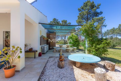 Villa a Rogil, Faro, Rogil - € 840.000 | Ref: M187 - foto 21