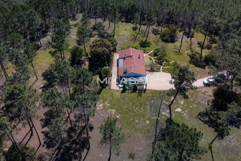 Villa a Rogil, Faro, Rogil - € 840.000 | Ref: M187 - foto 36