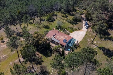Villa a Rogil, Faro, Rogil - € 840.000 | Ref: M187 - foto 37