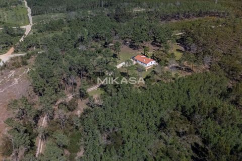 Villa a Rogil, Faro, Rogil - € 840.000 | Ref: M187 - foto 39