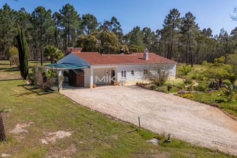 Villa a Rogil, Faro, Rogil - € 840.000 | Ref: M187 - foto 40