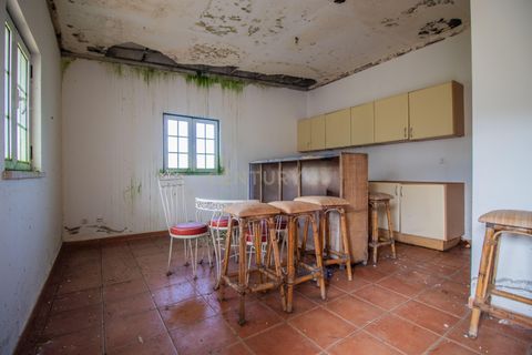 Helårsgrund i Coimbra, Coimbra, Coimbra - € 200.000 | Ref: C0372-01786 - foto 3