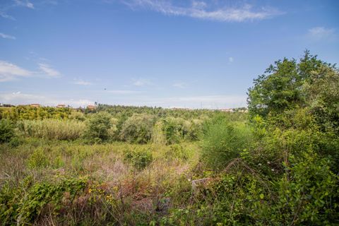 Helårsgrund i Coimbra, Coimbra, Coimbra - € 200.000 | Ref: C0372-01786 - foto 8