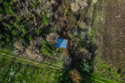 Helårsgrund i Coimbra, Coimbra, Coimbra - € 200.000 | Ref: C0372-01786 - foto 16