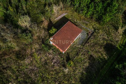 Helårsgrund i Coimbra, Coimbra, Coimbra - € 200.000 | Ref: C0372-01786 - foto 17