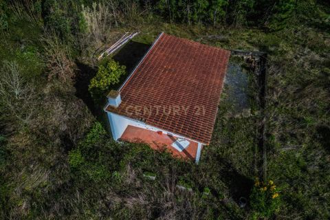Helårsgrund i Coimbra, Coimbra, Coimbra - € 200.000 | Ref: C0372-01786 - foto 18