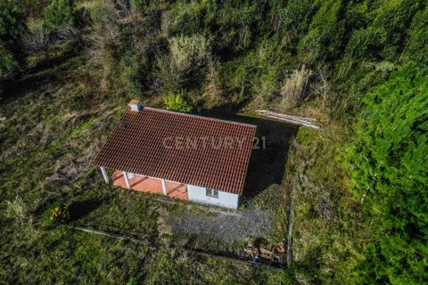 Helårsgrund i Coimbra, Coimbra, Coimbra - € 200.000 | Ref: C0372-01786 - foto 19