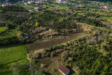 Helårsgrund i Coimbra, Coimbra, Coimbra - € 200.000 | Ref: C0372-01786 - foto 21