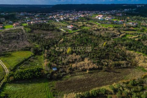 Helårsgrund i Coimbra, Coimbra, Coimbra - € 200.000 | Ref: C0372-01786 - foto 22