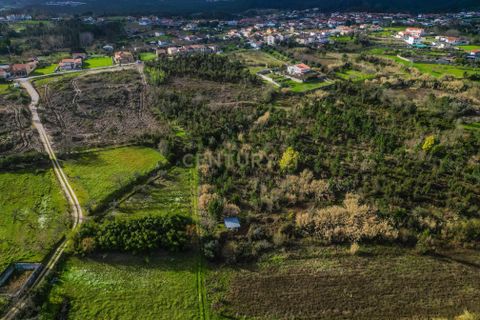 Helårsgrund i Coimbra, Coimbra, Coimbra - € 200.000 | Ref: C0372-01786 - foto 23