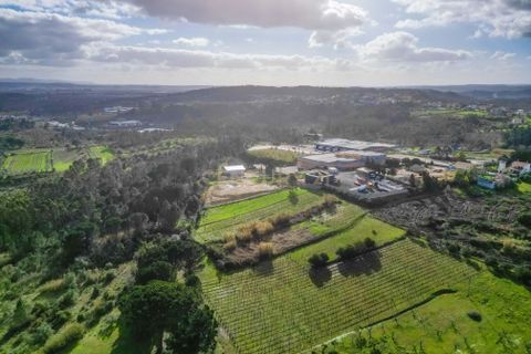 Helårsgrund i Coimbra, Coimbra, Coimbra - € 200.000 | Ref: C0372-01786 - foto 25
